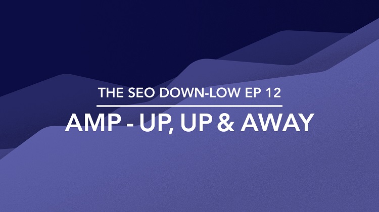 The SEO Down Low Episode 12