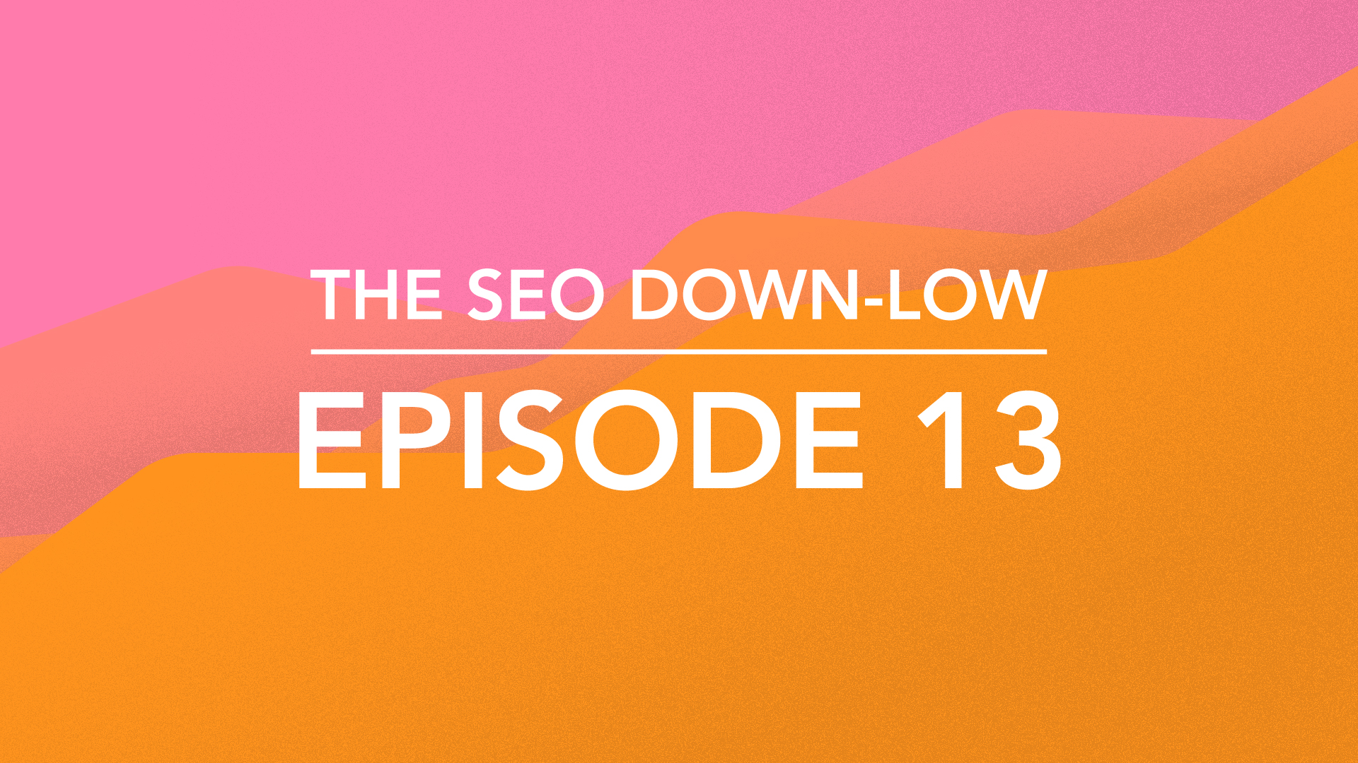 The SEO Down Low Episode 13